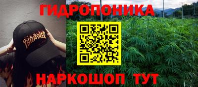 амф Лесосибирск