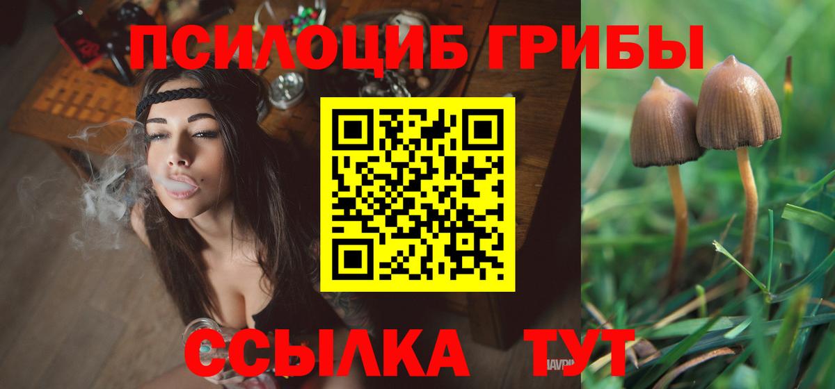 Ижевск  Галлюциногенные грибы ЛСД  Галлюциногенные грибы мицелий  Вход с VPN 