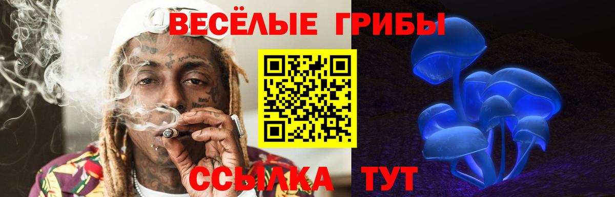 Галлюциногенные грибы Psilocybe Ижевск